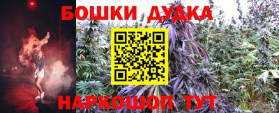 прущие крисы Гусев