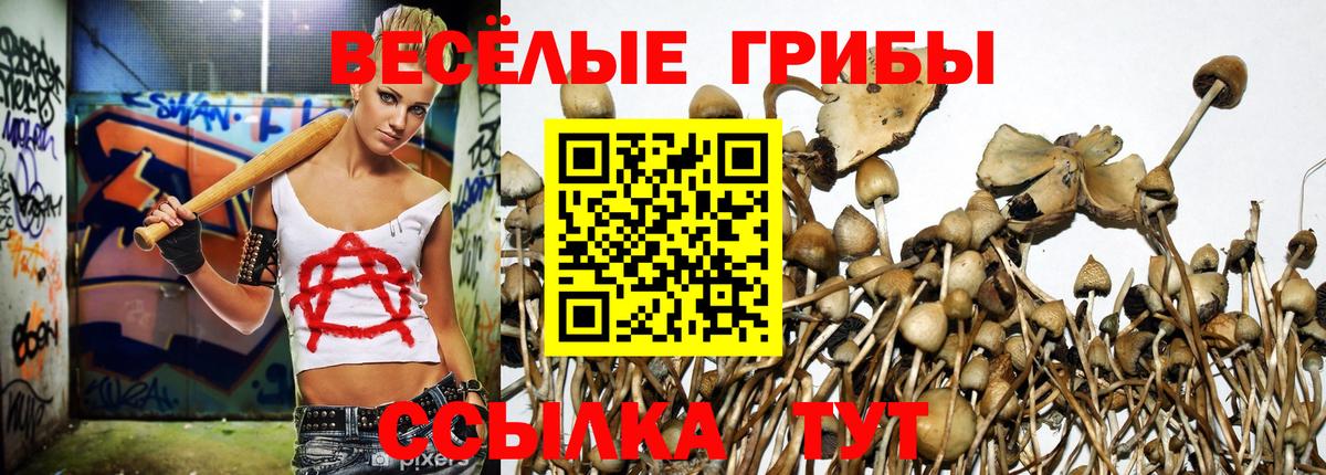 Надым  хочу   Вход с VPN  Псилоцибиновые грибы Psilocybine cubensis 